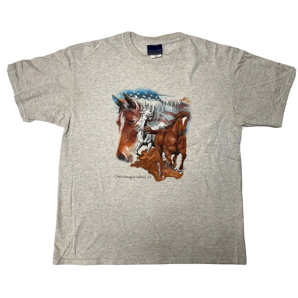 American Horses & Flag Chincoteague Island VA Kid-U-Not Boy's Gray T-Shirt XL